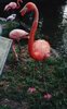 re_SAVE0095.jpg
59.31 KB 
800 x 600 

