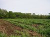 re_100-0026_IMG.jpg
137.25 KB 
800 x 600 
