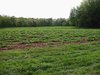 re_100-0030_IMG.jpg
166.79 KB 
800 x 600 
