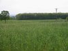 re_100-0039_IMG.jpg
99.67 KB 
800 x 600 
