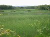 re_100-0043_IMG.jpg
132.46 KB 
800 x 600 
