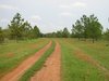 re_100-0059_IMG.jpg
87.23 KB 
800 x 600 
