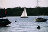 re_PA165510350101.jpg
71.23 KB 
800 x 600 
