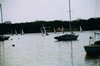 re_PA165510350114.jpg
67.25 KB 
800 x 600 

