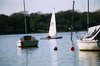 re_PA165510350116.jpg
77.23 KB 
800 x 600 
