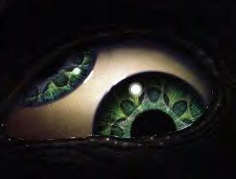 Green Eye