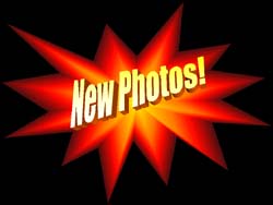 Newest Photos!