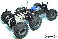 6wdbison2.jpg