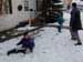 DSCN0077