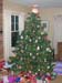 grannystree