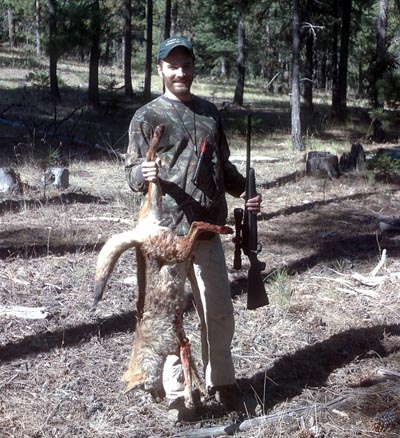 coyote pic