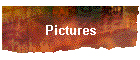 Pictures