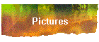 Pictures
