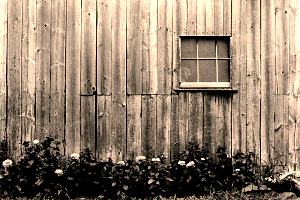 Barn Window