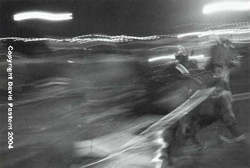 Harness Horses Image