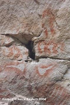 Native Image
