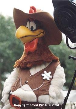 Rooster Image