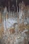 stalactite