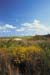 heronridgegolfclub