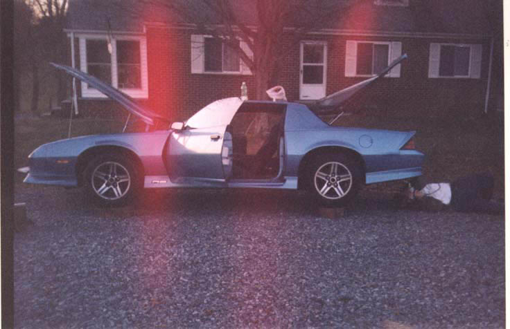 neons2