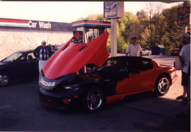 viper