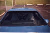 backseat