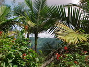 El Yunque