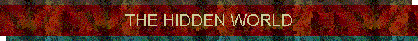 THE HIDDEN WORLD