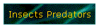Insects Predators