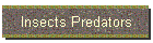 Insects Predators