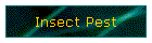 Insect Pest
