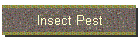 Insect Pest