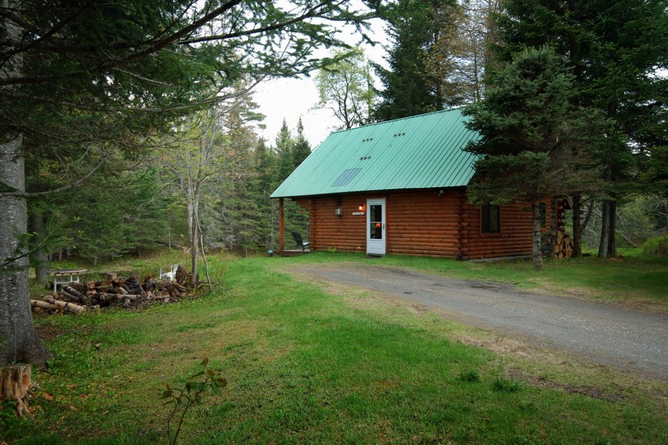 cabin1