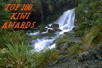 Kiwi Top 100 Award