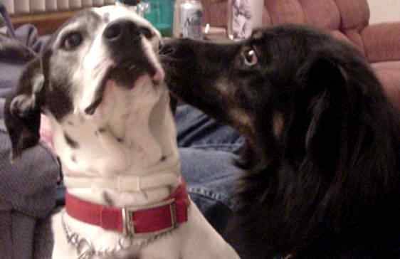 Patch, Molly's cousin says, GET OFF ME!