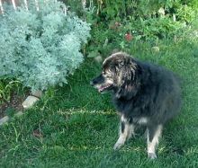 At this point she looks for mice that have no where to live except our garden!