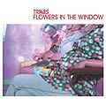 FLOWERS IN THE WINDOW!!!