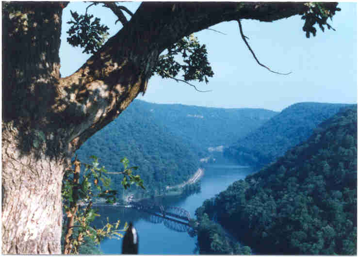 hawksnestnewrivercanyonwv.jpg (27836 bytes)