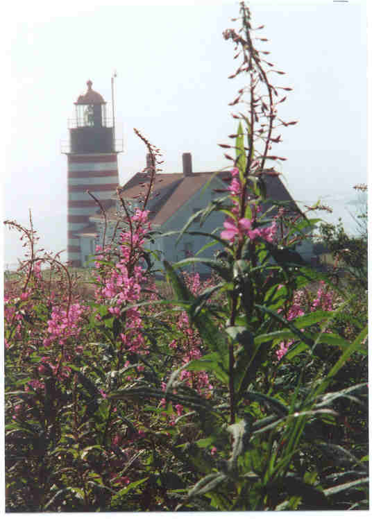 lubeclighthouse.jpg (35450 bytes)