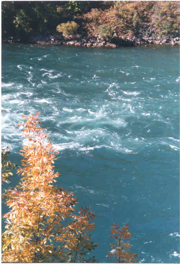 niagrariverwhirlpool.jpg (46042 bytes)