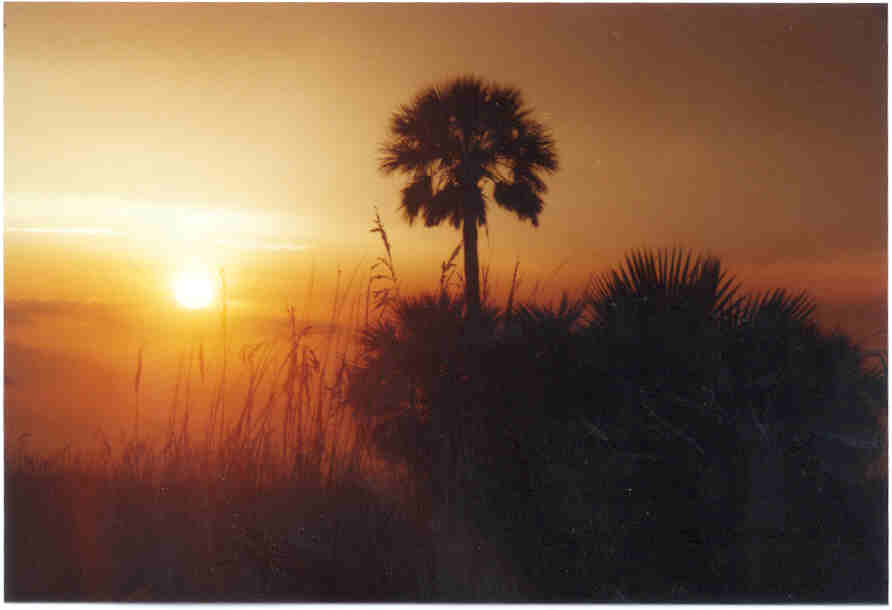 stpetebeach.jpg (17426 bytes)