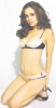 Maxim