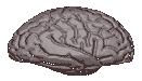  mindmapping ...