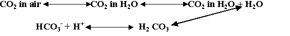 CO2&H2O Reaction.gif