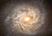 Spiral Galaxy NGC 3982, Width and Height=1,083 by 992 Pixels, Size=158 kb
