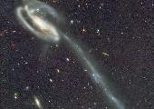 Tadpole Galaxy, Width and Height=1,225 by 1,400 Pixels, Size=207 kb