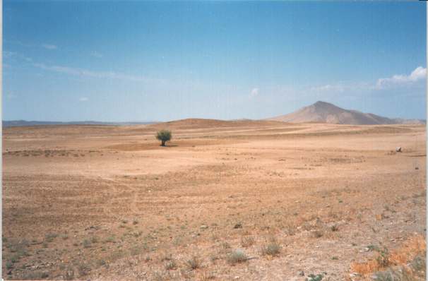 baku8.jpg
