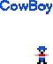 COWBOY.jpg