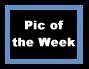 Pic of the Week