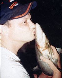 A Kiss Goodbye